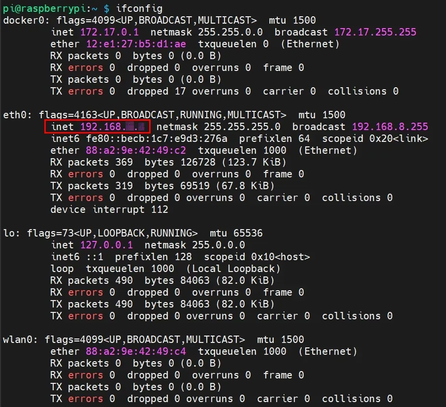 终端查询 IP