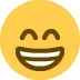 :grin: :grin: