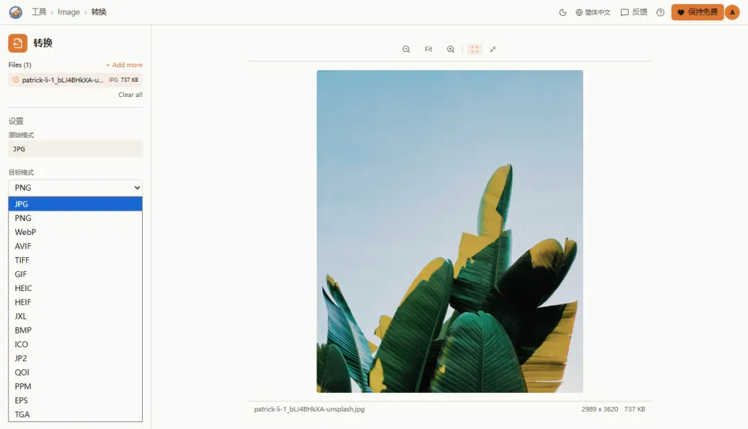 Image