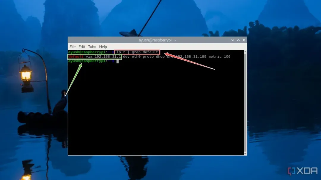 Running the command to check the IP address of a router