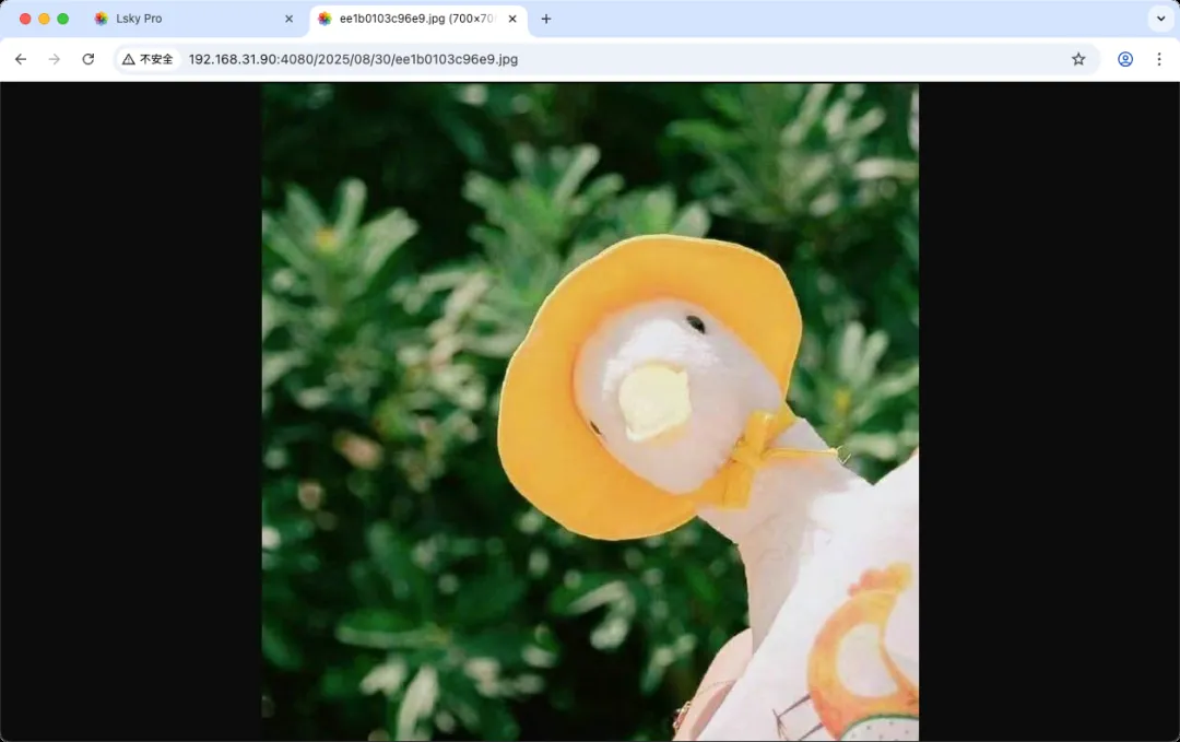 Image