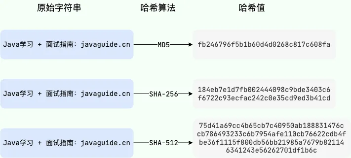 为什么面试官在忘记密码时选择重置而非告知原密码的原因及其背后的安全考量